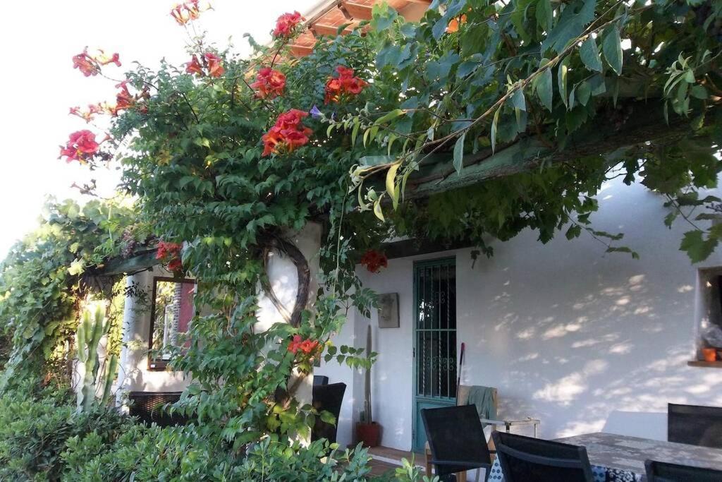 Cortijo Con Encanto Villa Cullera Exterior photo